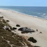120-ringkobing-sletten-15 * Søndervig